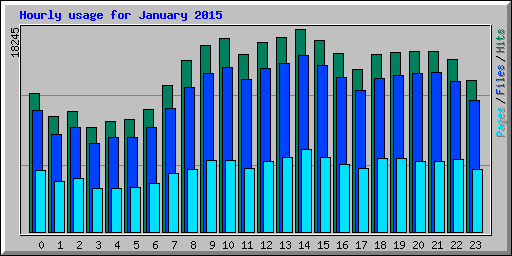 Hourly usage for January 2015