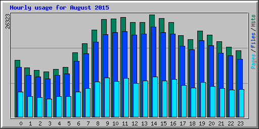 Hourly usage for August 2015