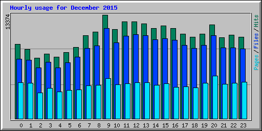 Hourly usage for December 2015