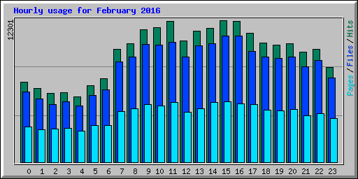 Hourly usage for February 2016