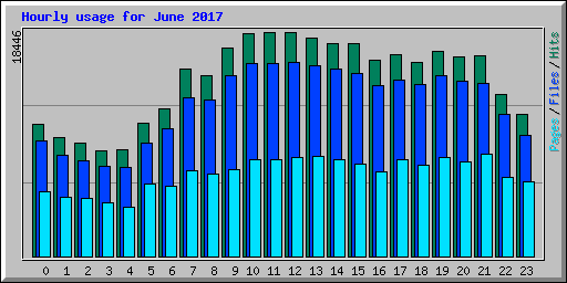 Hourly usage for June 2017